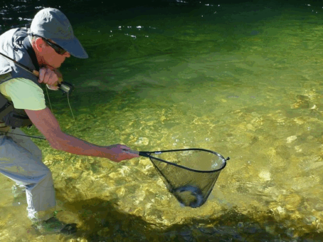 Guidage pêche à la mouche