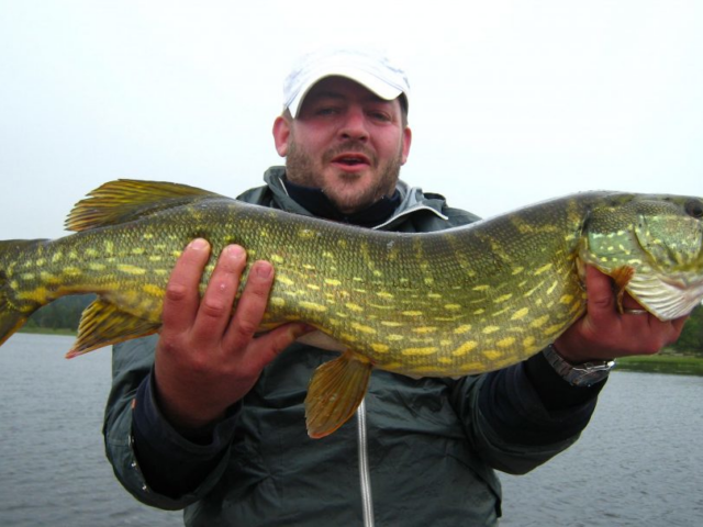 Guidage Carna - Mouche