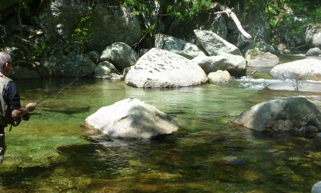 Tarn, Tarnon, Mimente