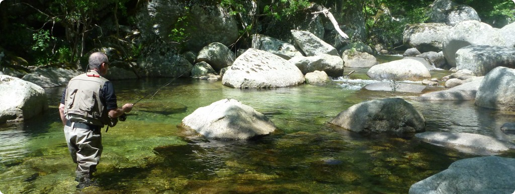 Tarn, Tarnon, Mimente